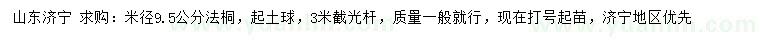 求購米徑9.5公分法桐