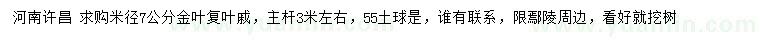 求購(gòu)米徑7公分金葉復(fù)葉槭