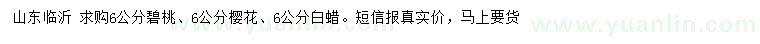 求購(gòu)碧桃、櫻花、白蠟