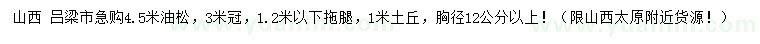 求購胸徑12公分以上油松