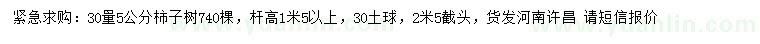求購30量5公分柿子樹