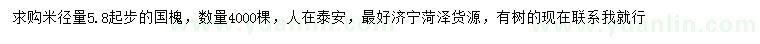 求購米徑量5.8公分起步國槐