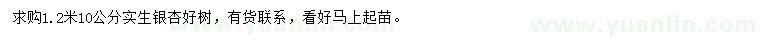 求購10公分銀杏