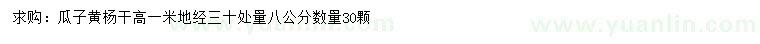 求購(gòu)地徑30量8公分瓜子黃楊