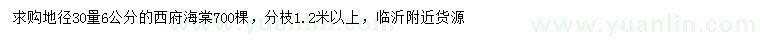 求購地徑30量6公分西府海棠