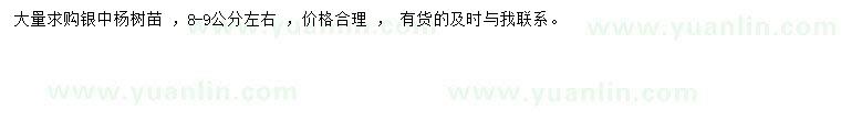 求購(gòu)8-9公分左右銀中楊苗