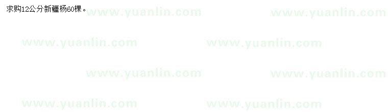 求購(gòu)12公分新疆楊