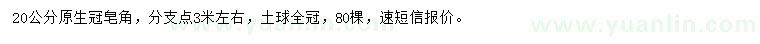 求購(gòu)20公分皂角