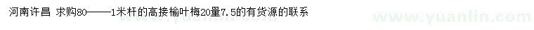 求購20量7.5公分高接榆葉梅