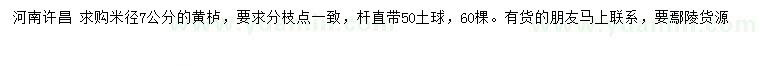 求購米徑7公分黃櫨