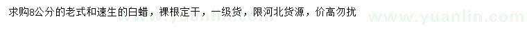 求購(gòu)8公分老式、速生白蠟