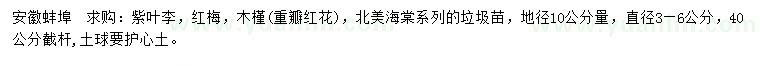 求購紫葉李、紅梅、木槿（重瓣紅花）等