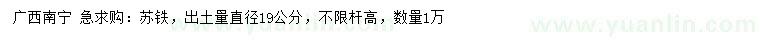 求購直徑19公分蘇鐵