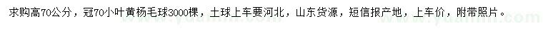 求購(gòu)高70公分小葉黃楊毛球