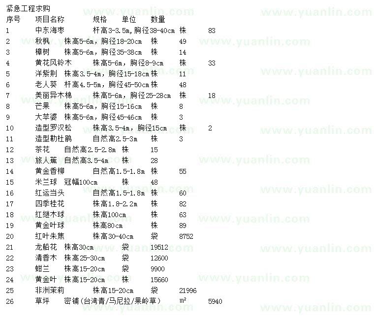 求購中東海棗、秋楓、樟樹等