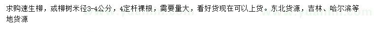 求購米徑3-4公分速生柳或柳樹