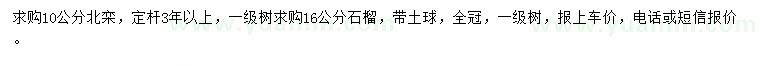 求購(gòu)10公分北欒、16公分石榴