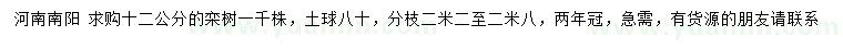 求購12公分欒樹