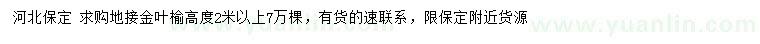 求購高2米以上地接金葉榆