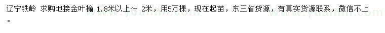 求購1.8- 2米地接金葉榆