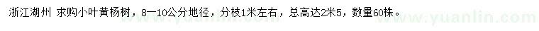 求購地徑8-10公分小葉黃楊樹