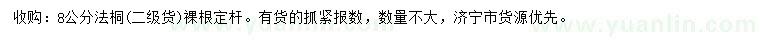 求購8公分法桐