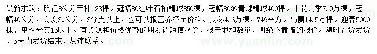 求購苦楝、紅葉石楠精球、冬青球等
