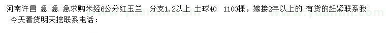 求購米徑6公分紅玉蘭