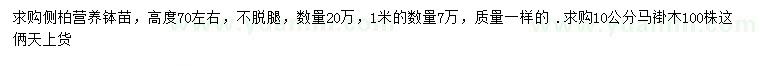 求購高70公分左右側(cè)柏、10公分馬褂木
