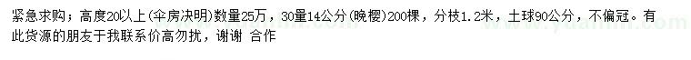 求購高20公分以上傘房決明、30量14公分晚櫻