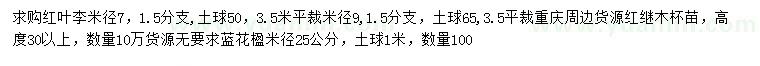 求購紅葉李、紅繼木、藍(lán)花楹