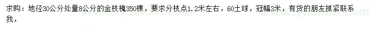 求購地徑30公分處量8公分金枝槐