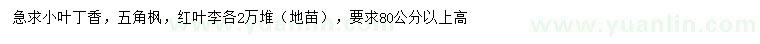 求購小葉丁香、五角楓、紅葉李