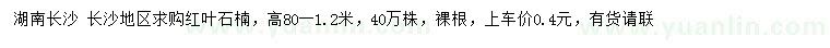 求購高80-120公分紅葉石楠