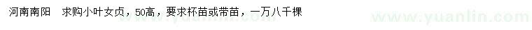 求購高50公分小葉女貞