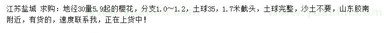 求購地徑30量5.9公分起櫻花