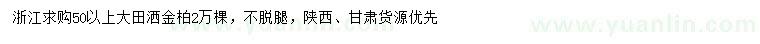 求購50公分以上大田灑金柏