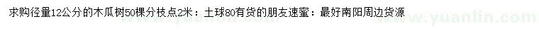 求購12公分木瓜樹