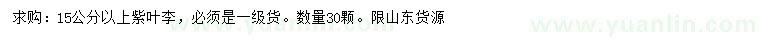 求購15公分以上紫葉李