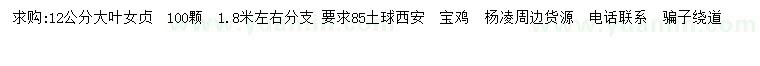 求購12公分大葉女貞