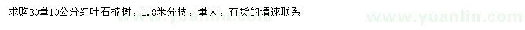 求購30量10公分紅葉石楠樹