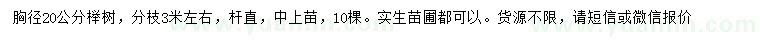 求購(gòu)胸徑20公分櫸樹(shù)