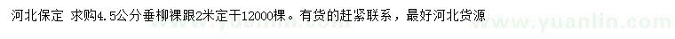 求購(gòu)4.5公分垂柳