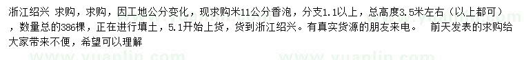 求購米徑11公分香泡