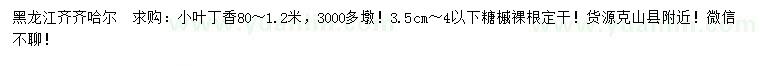 求購80-120公分小葉丁香、3.5-4公分以下糖槭
