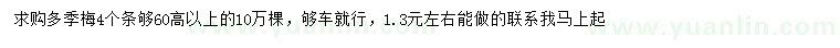 求購高60公分以上多季梅