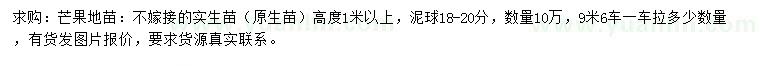 求購高度1米以上芒果苗