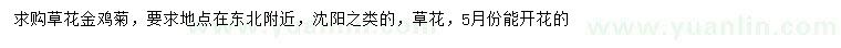 求購草花金雞菊