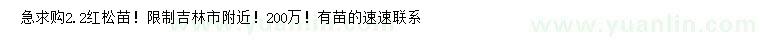 求購2.2公分紅松苗