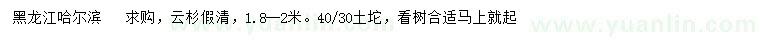 求購1.8-2米云杉假青